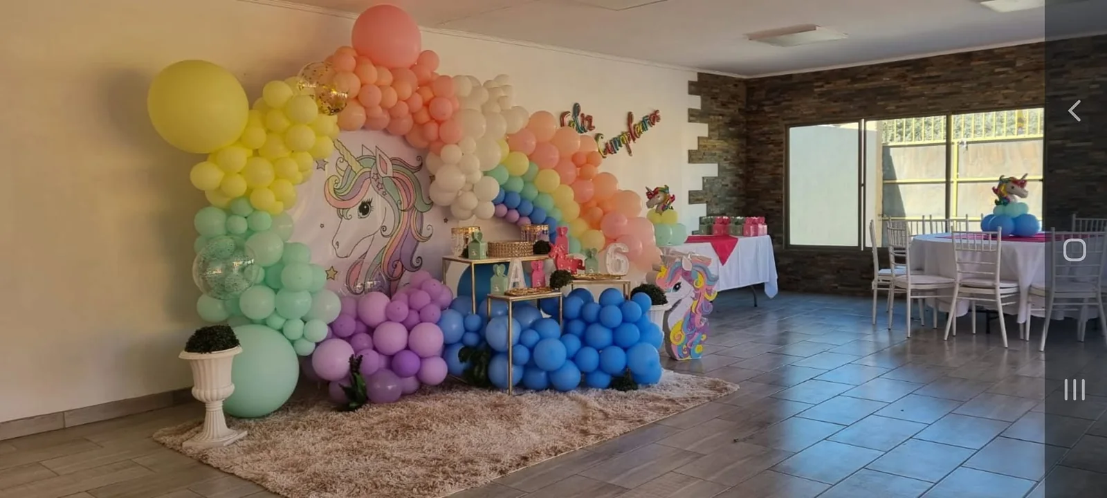 Decoración infantil de cumpleaños en La Granja VIP Copiapó